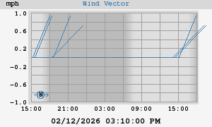 Wind Vector
